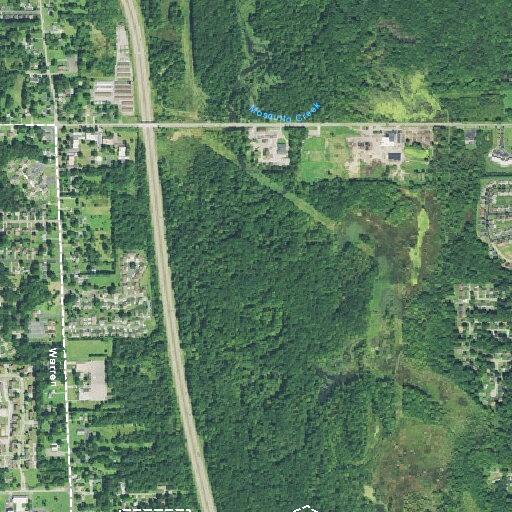 33-year-old male with allergic reaction at residence
