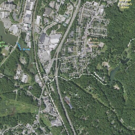 92-year-old female diabetic medical emergency at state home