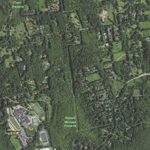 Person reported down in a paddock in Waccabuc
