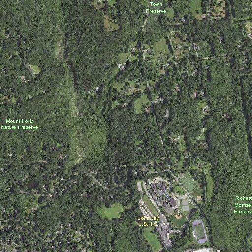 Bear reported near North Salem Road residence