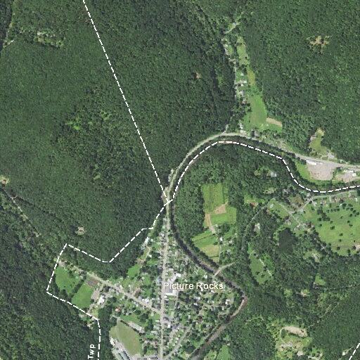Erratic driver reported on Route 220 near Main Street