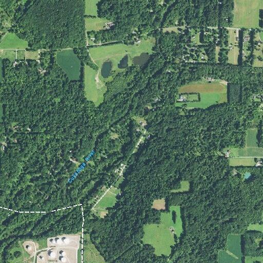 Male with low blood sugar and diarrhea near Mantua area