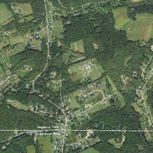 Woman reports chest pains in Hepburn Township