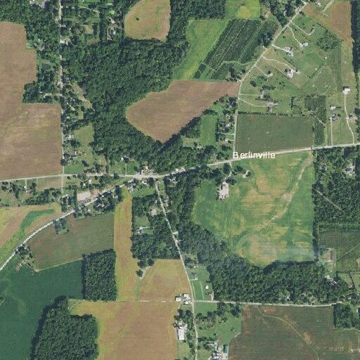 Dog struck and killed near State Route 61