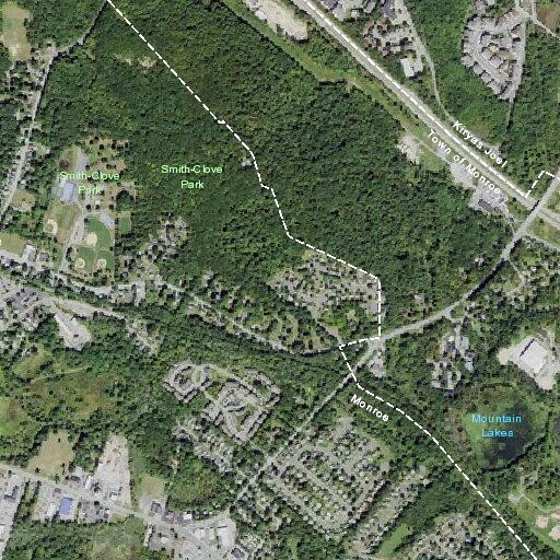 Loose dog reported on residential property