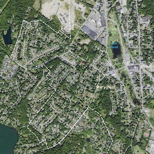 Elderly man with swollen legs near Monroe