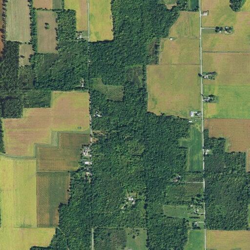 Car hits animal near County Road 50