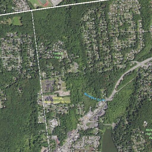 81-year-old female found immobile on floor