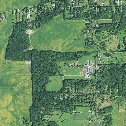 52-year-old man with chest pain near Mantua