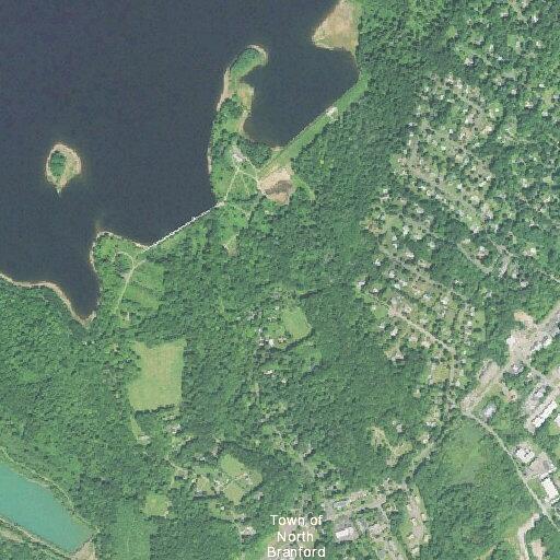 Psychiatric emergency in 80-year-old at North Branford
