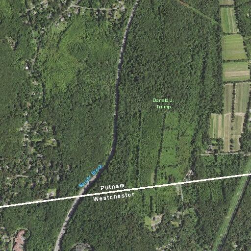 90-year-old female unable to walk at Indian Hill Rd