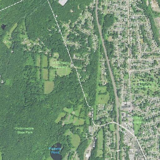 Search for missing man near cemetery