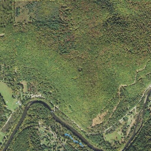 Tree across wires blocking Route 555 roadway