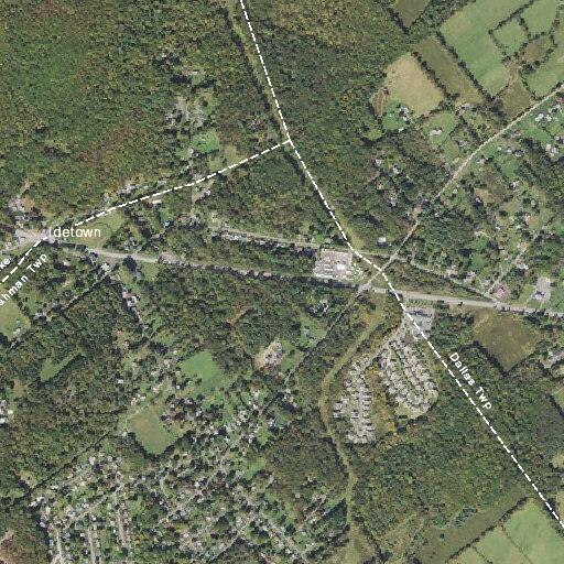 Elderly woman falls at Dallas Township location