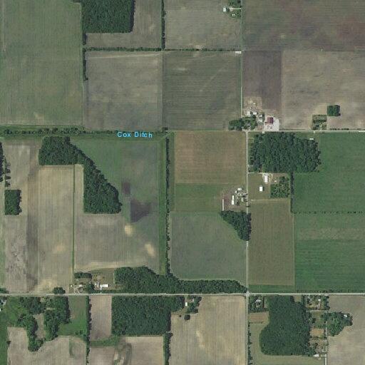 Domestic disturbance involving lewd behavior