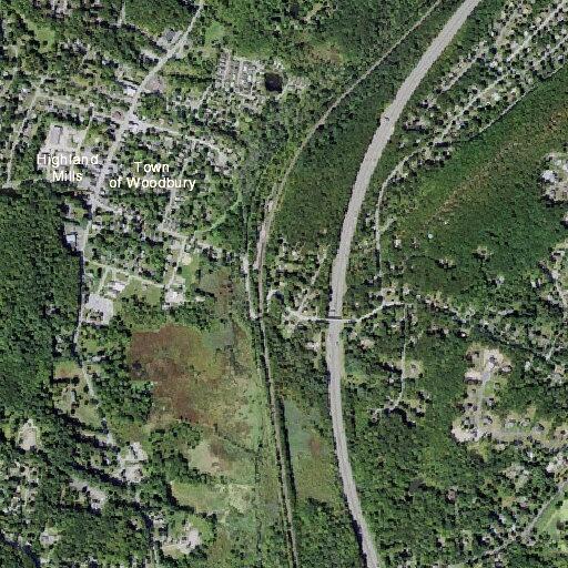 Car leaves road and goes into woods, no injuries