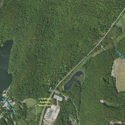 Tree blocking lane on state Route 293 curve