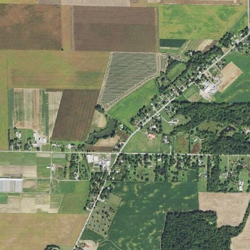 Woman feeling dizzy near Shy Road in Milan Township