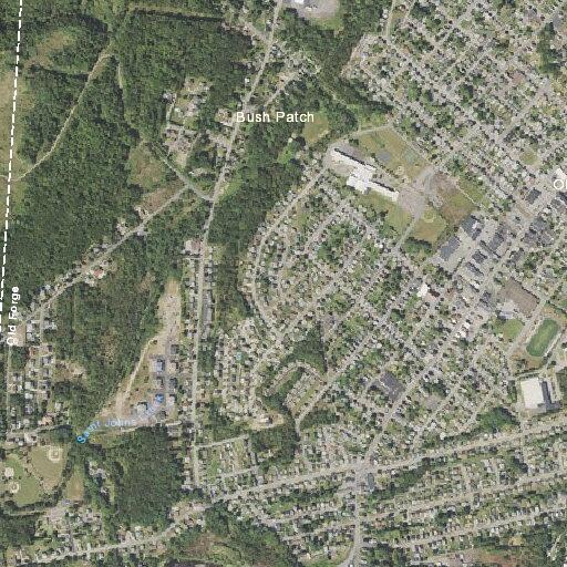Female with cellulitis treated near Fallon Street in Mills Forge