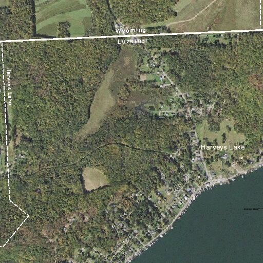 Brush fire reported on Oak Street