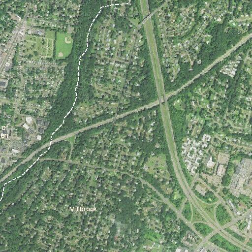 Neighbor dispute over trees on property