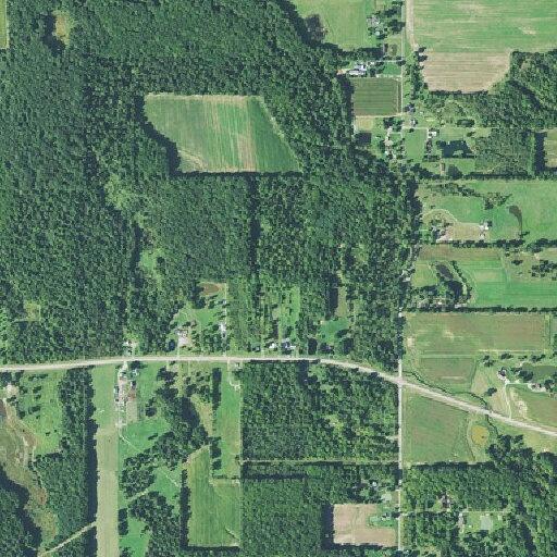Driver hits deer and reports head injury
