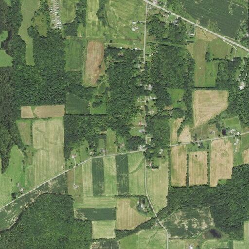 Elderly man unable to move at Perry Township home