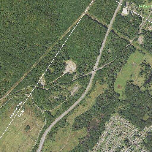 Person tasered near Rinaldi Drive in Taylor