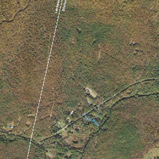 77-year-old man with dizziness and weakness at Route 434