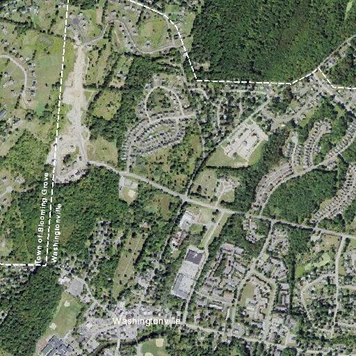 Elderly woman experiencing back pain at Washingtonville home