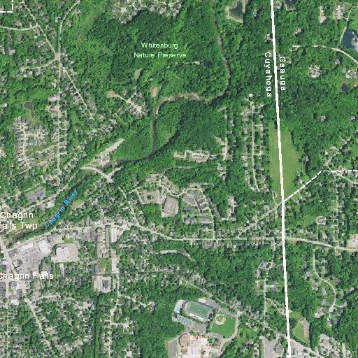 100-year-old woman with shortness of breath at Hamlet Hills