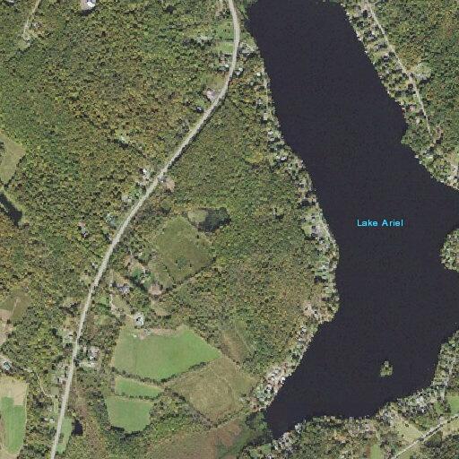 Woman falls and needs lift assist near Lake Ariel