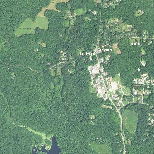 Female teen needs psychiatric evaluation in Ledyard
