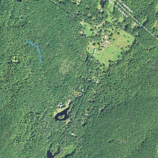 Elderly woman with dementia needs help at Blue Hills Rd