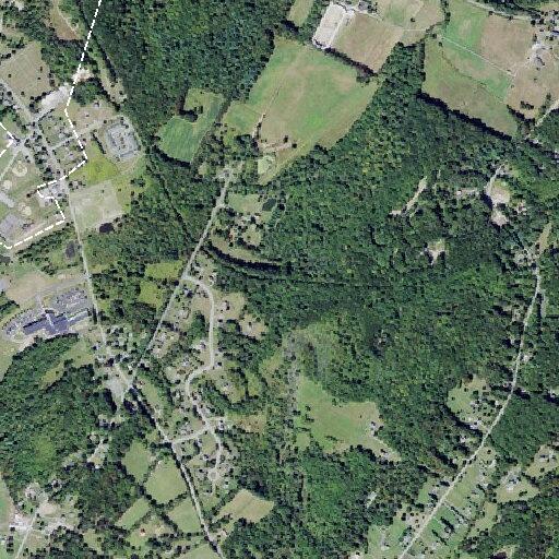 Female fainting near Grange Road intersection