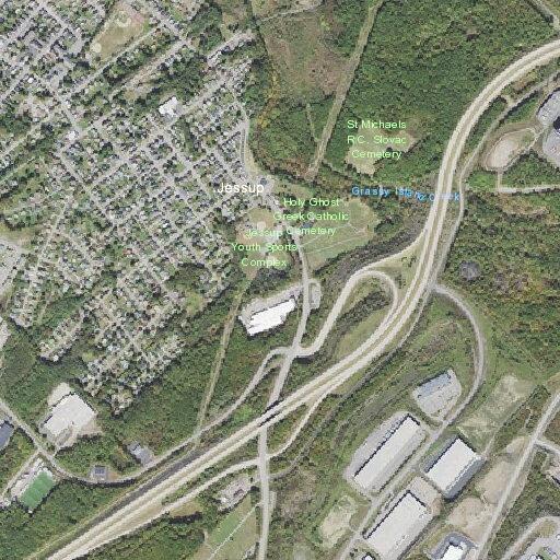 80-year-old female fall victim needing assistance
