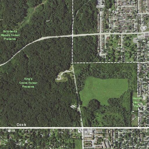 Person found unconscious near West 35th Street in Steger