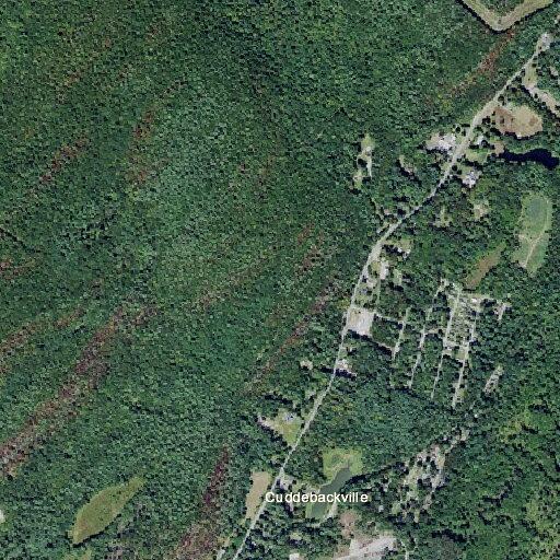 Woman possibly having stroke at US Route 209 address