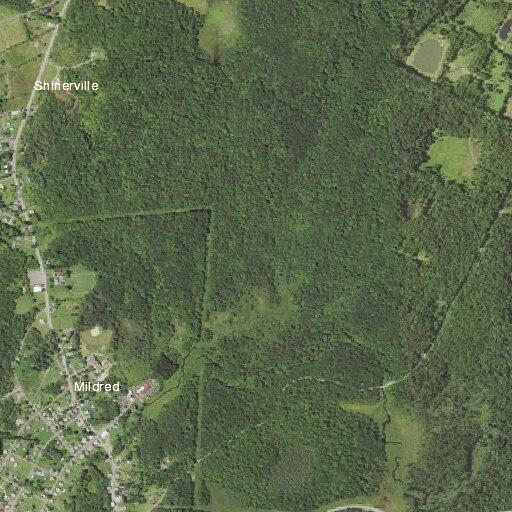 BLS trauma response near Hayes Road in Montville Township