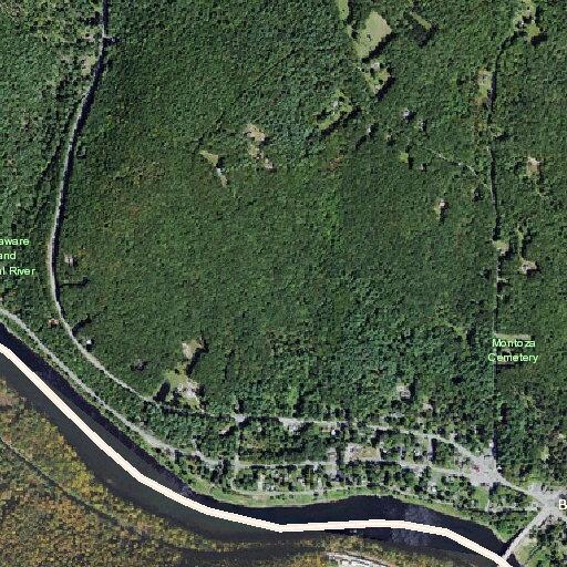 Single fallen tree on River Road in Barryville