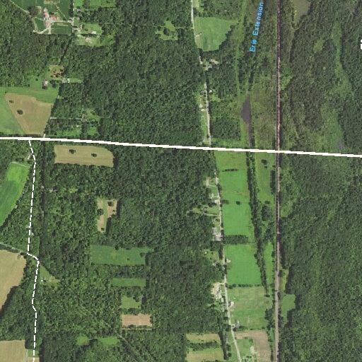 46-year-old man having seizure in Adamsville