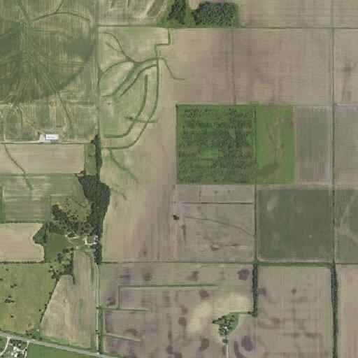 Person reports unknown voice in pasture at home
