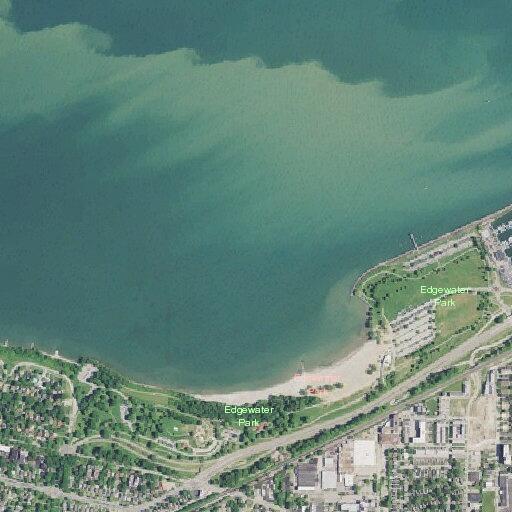 Pedestrian struck at Edgewater dog beach
