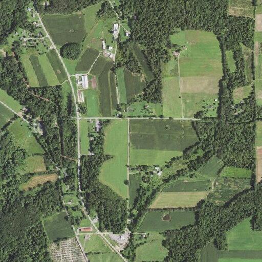 Male with vision problems reported near McCartney Road