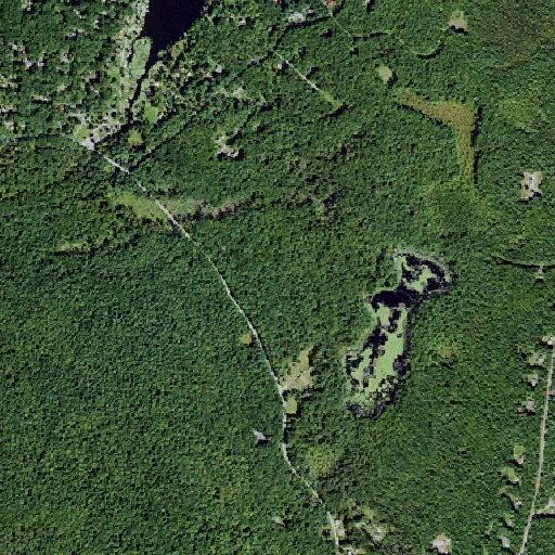 Elderly woman with mental health emergency near Mohican Lake Road