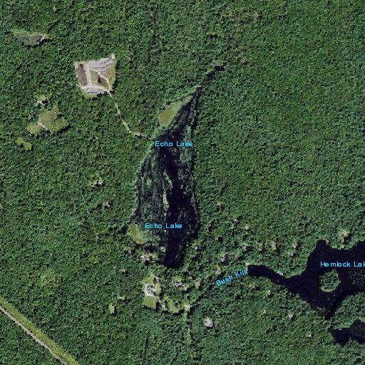 83-year-old male unable to walk near Echo Road in Forestburgh