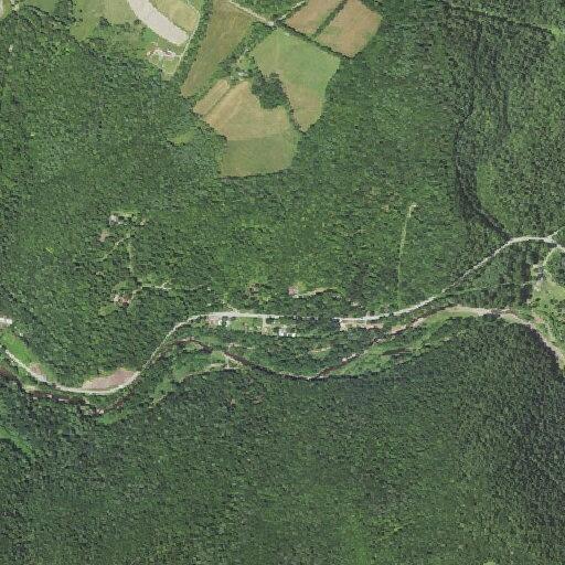 Tree blocking Route 87 in Forks Township