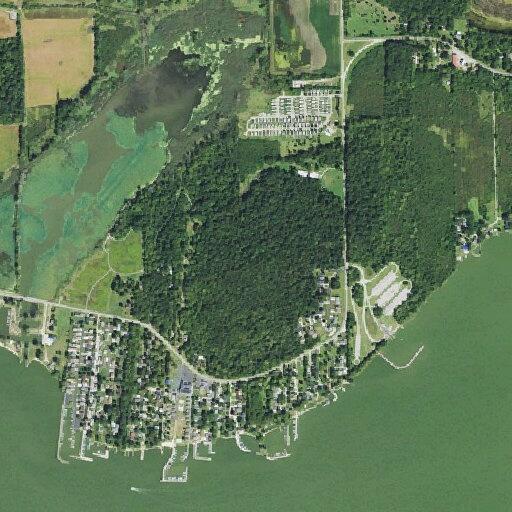 Tree limb on power lines closes road near Bayshore