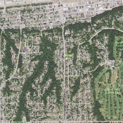 Person exhibiting abnormal behavior near East Moline