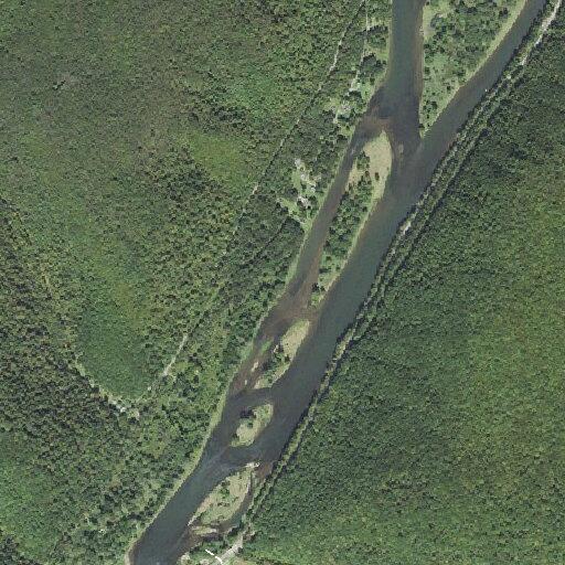 83-year-old male falls on Pigeon Hill Road in Tionesta
